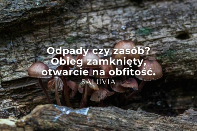 Odpady czy zasoby naturalne? Obieg zamknięty - otwarty na obfitość Saluvia