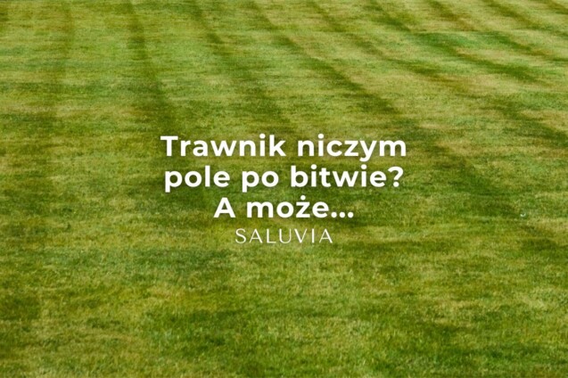 Trawnik nie musi być polem bitwy. Zdrowe praktyki ogrodnicze, architektura dobrostanu